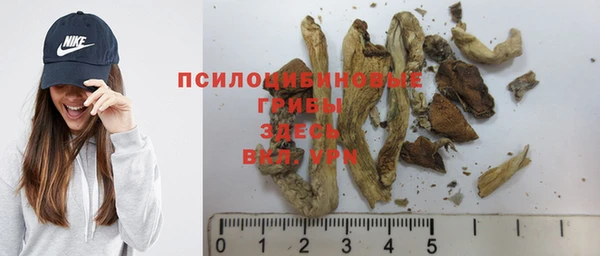 дживик Верея