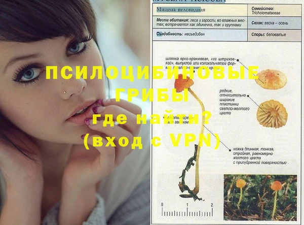гидропоника Верхнеуральск