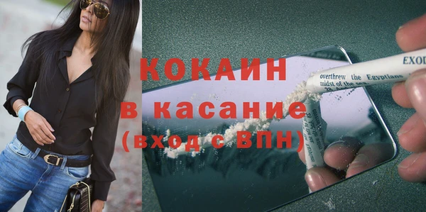 дживик Верея