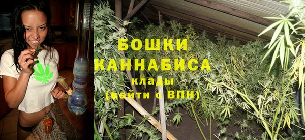 дживик Верея