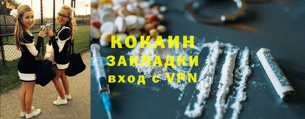 дживик Верея